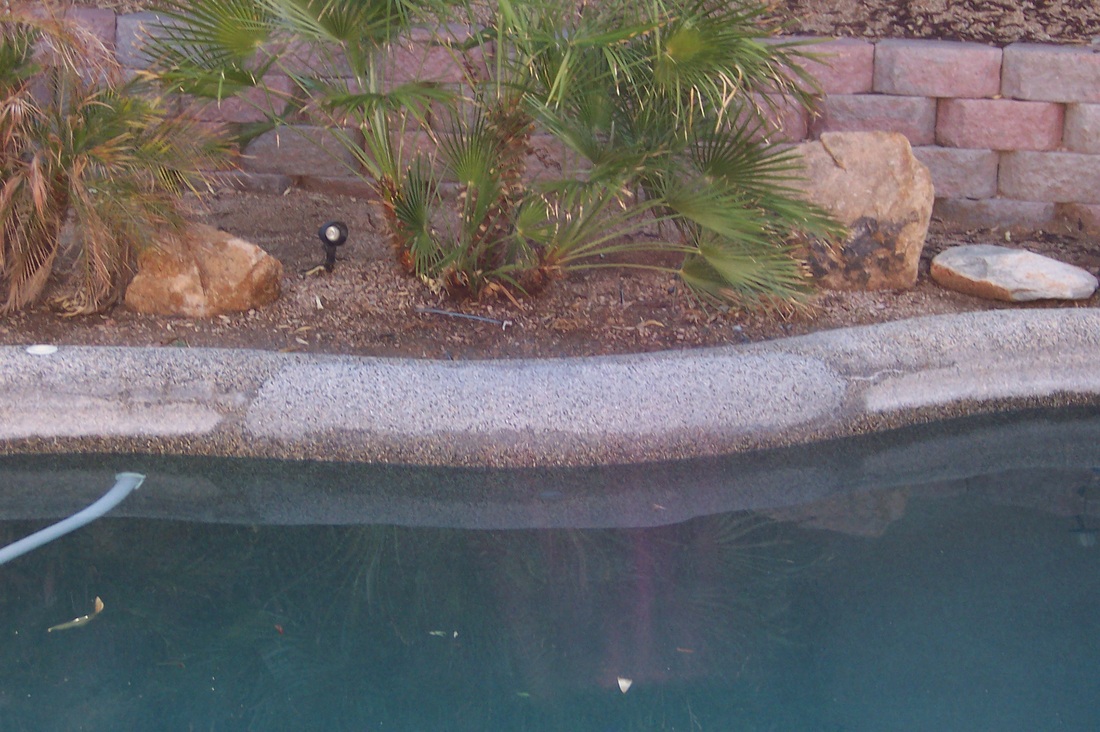 pebble tec pool maintenance