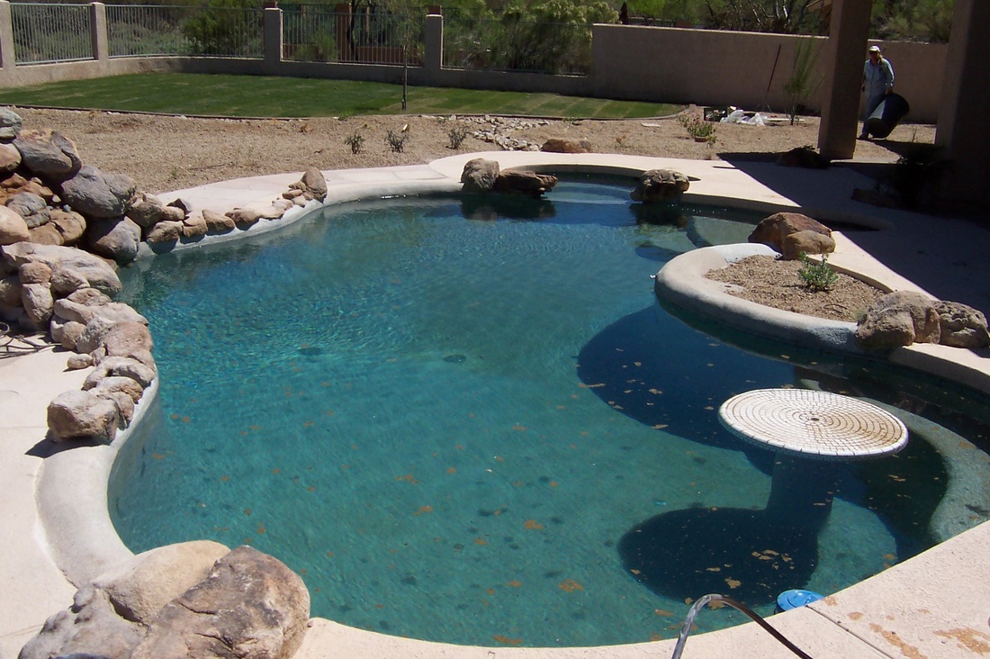 Arizona Sparkle Pool Service All information about Service